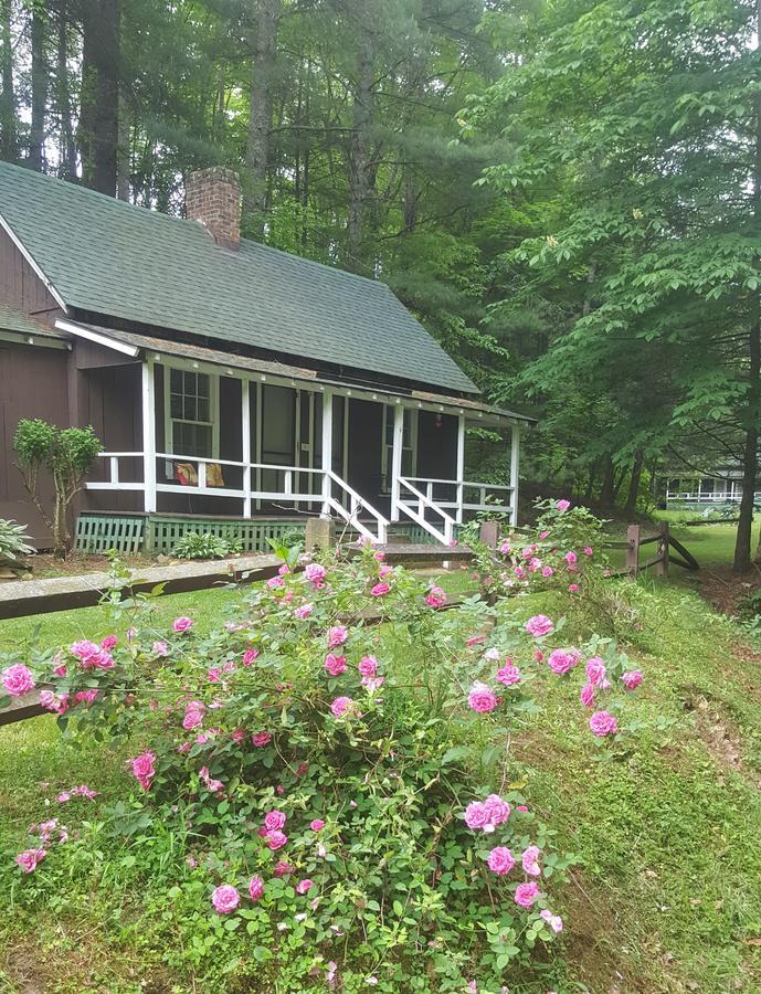 The Cabins At Healing Springs Crumpler Zewnętrze zdjęcie